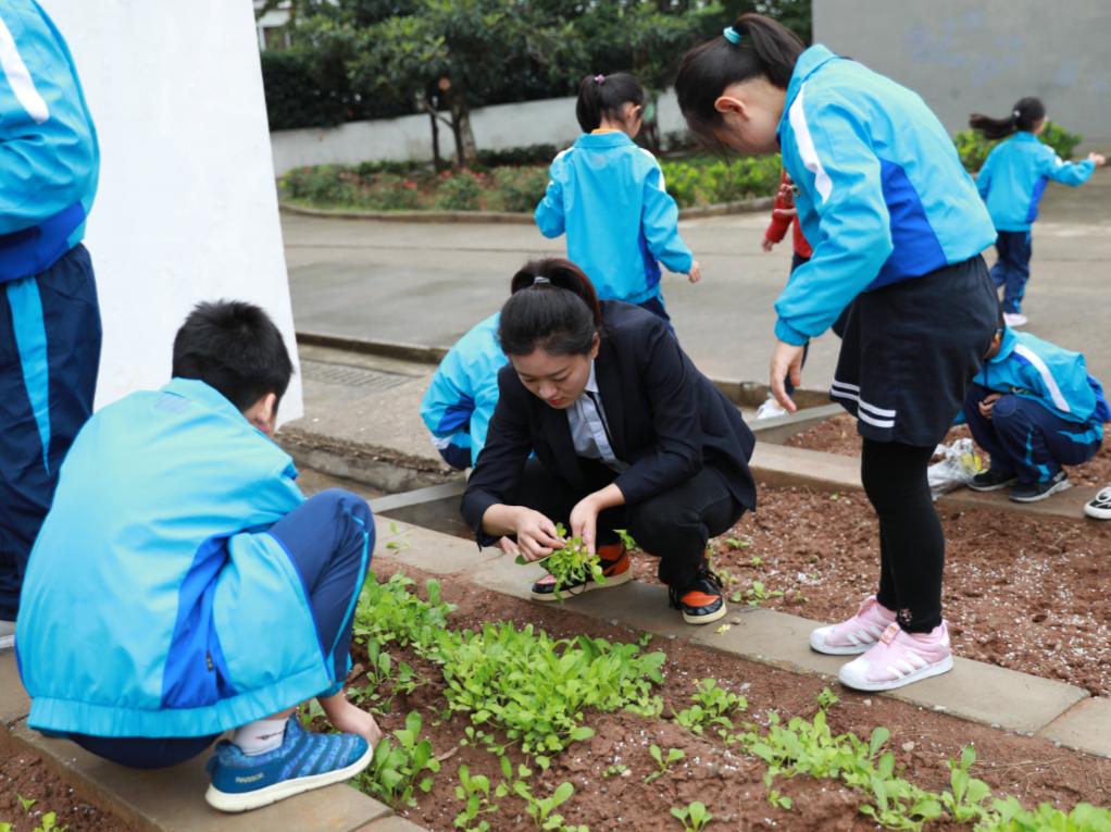 南京比较好的小学学校有哪些,南京最好的小学学校