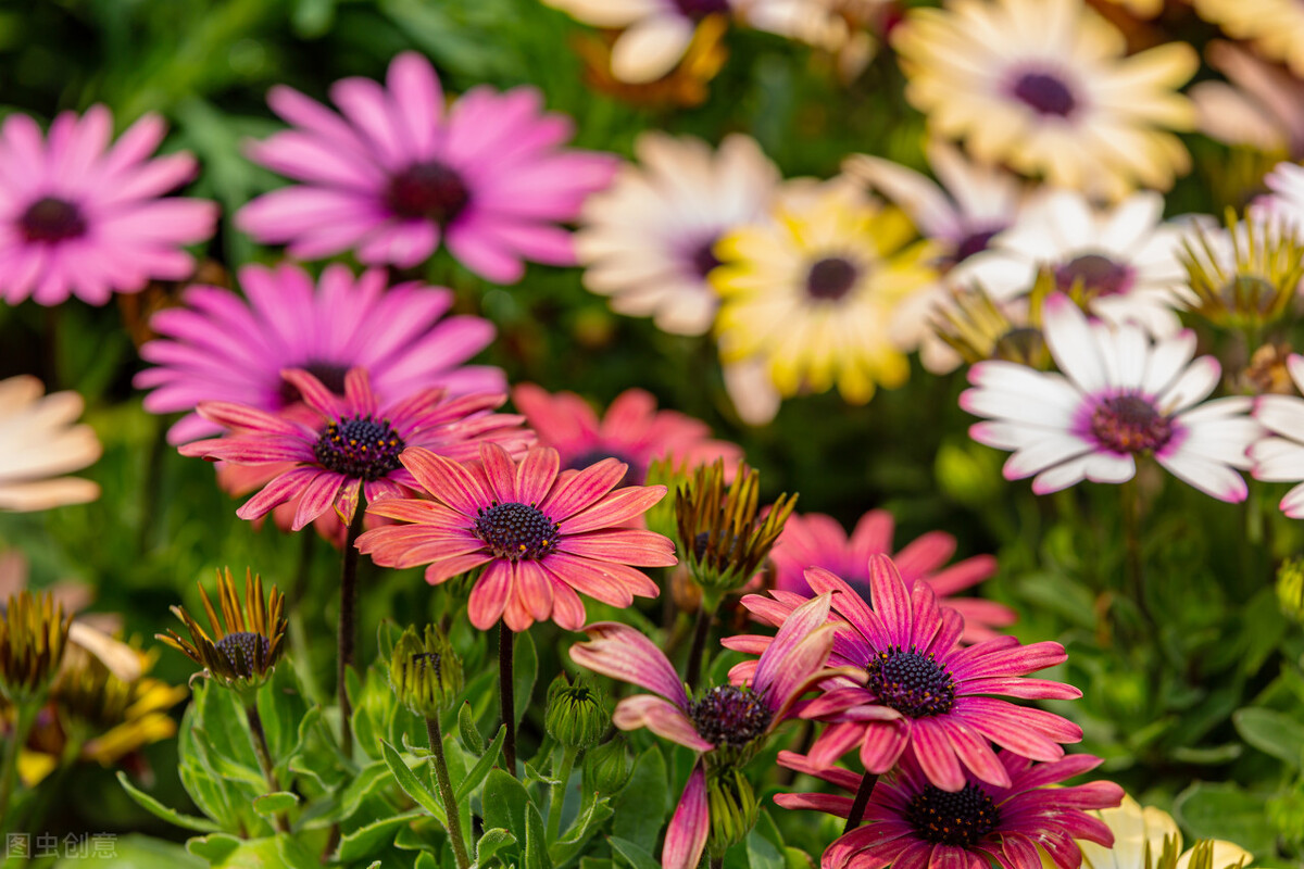 春风十里不如你，山长水远念着你，我在你的远方牵挂你一生