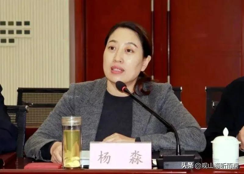 才貌双全的女*官高**，学历履历丰富，从科员一路晋升至省商务厅长