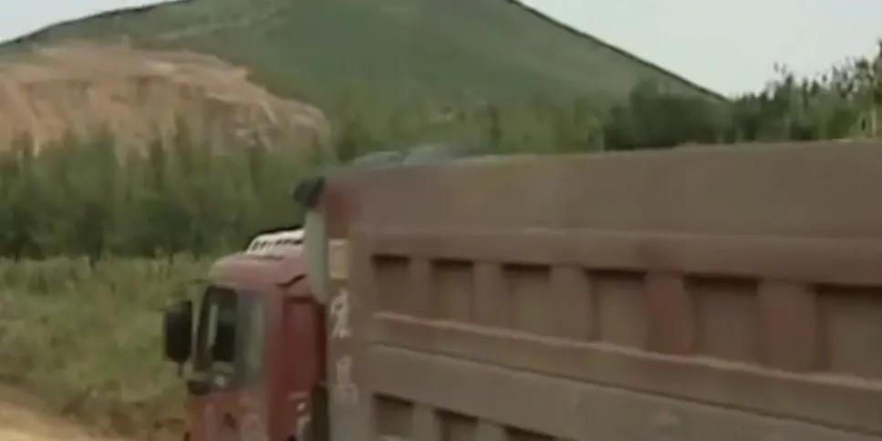 蝎子扎堆蜇人吗,东北有野生蝎子蜇人有生命危险吗