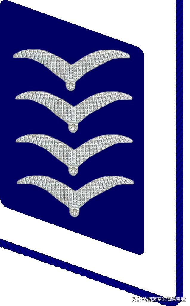 二战德国国防军医疗兵军衔标志