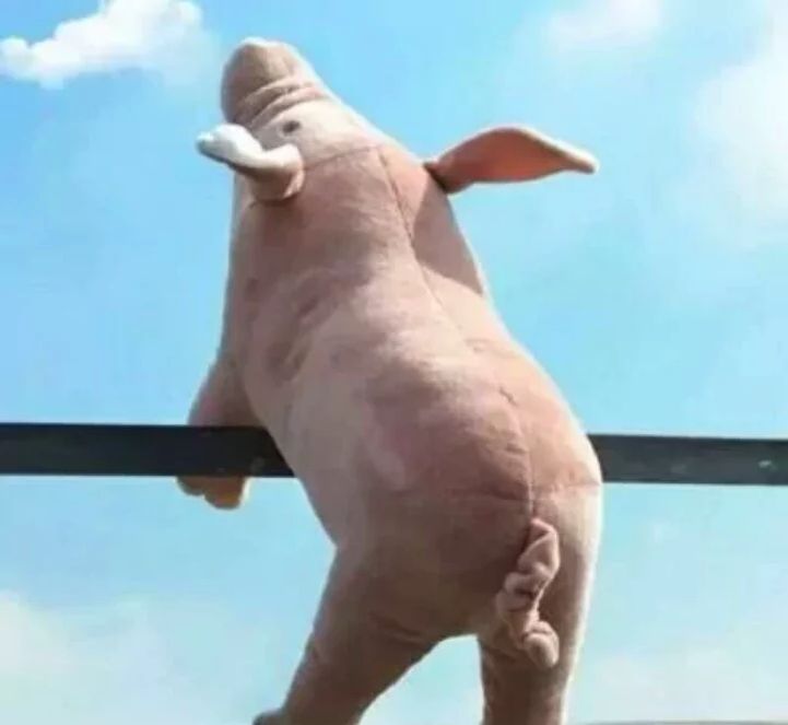 天冷的搞笑沙雕文案,天冷沙雕又高级的文案