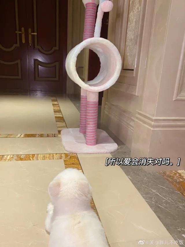 鹿晗关晓彤恋爱几年了,鹿晗关晓彤恋爱全过程