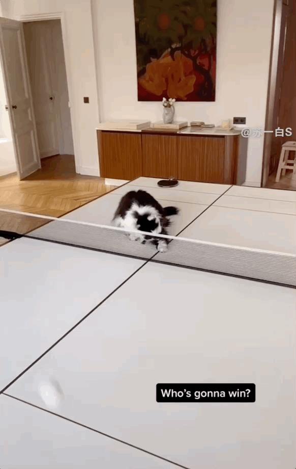 顶豪找贵族，LV家小公子的女友原来是伯爵之后…