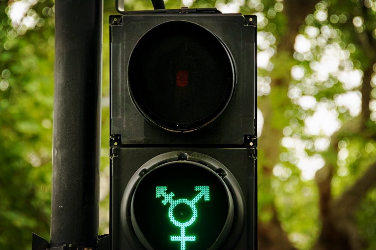 西方女权主义陷阱,西方价值观陷阱