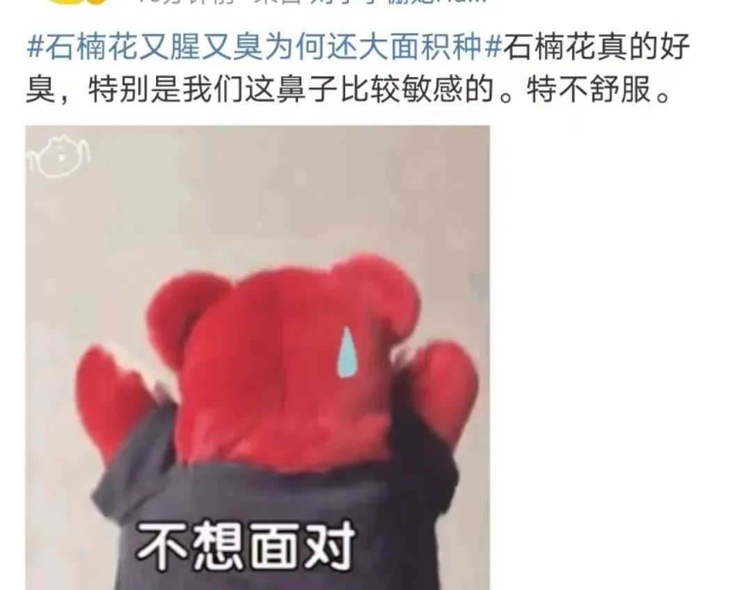 离谱到全网开骂的“玫瑰冰淇淋”事件：新型智商税，又来祸害人了