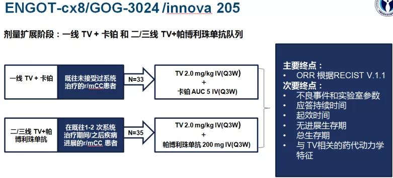 吴小华卵巢癌专家共识,吴小华谈卵巢癌治愈