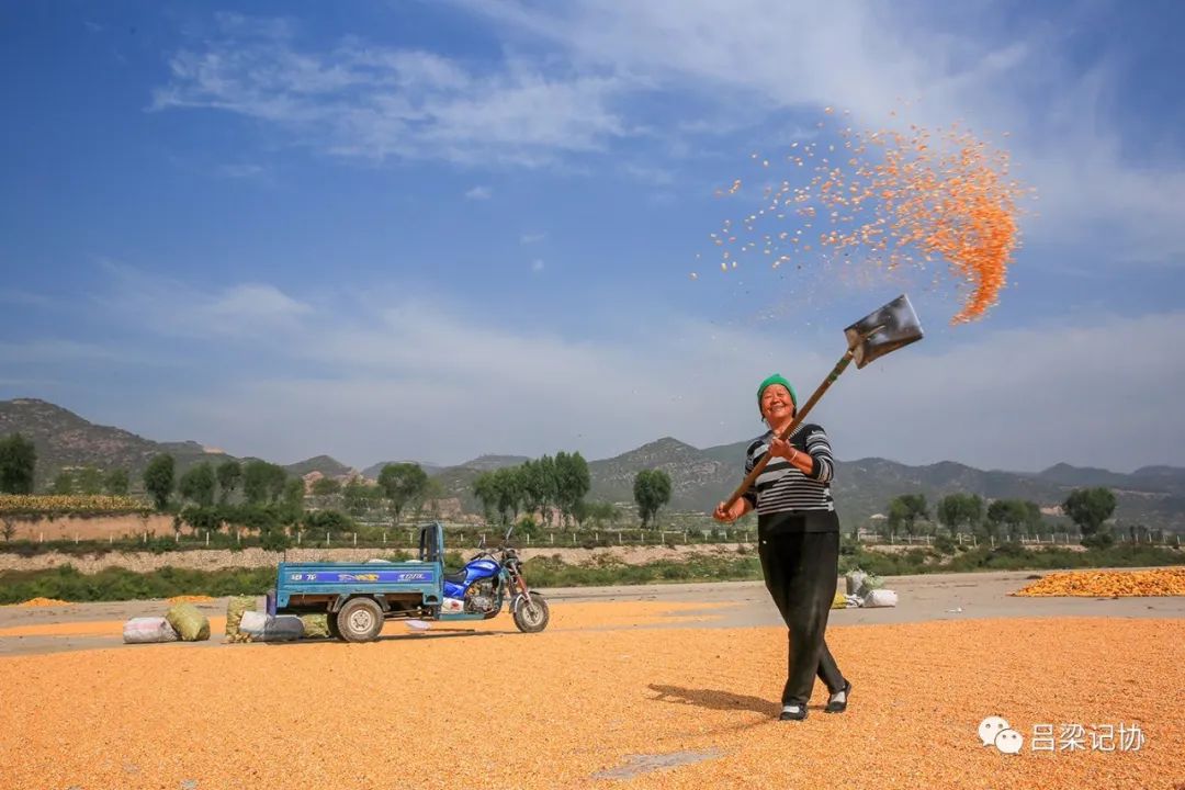 我的吕梁我的城微视频,我的吕梁我的城作品征集