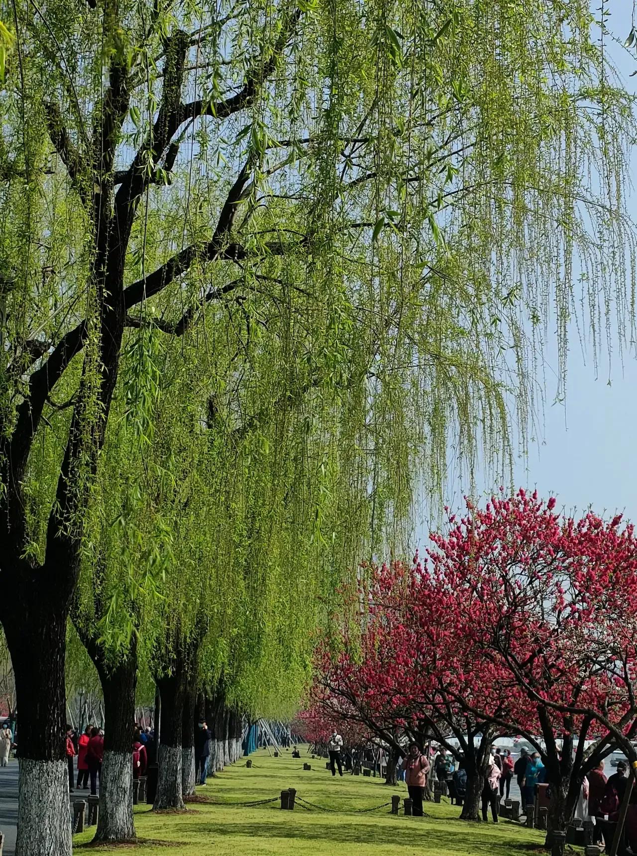 LookandReadforComprehension,看读理解法「中级6」