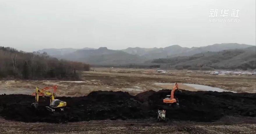 谁在砸中国人饭碗？200万年形成的“土中熊猫”，被4元贱卖给美日