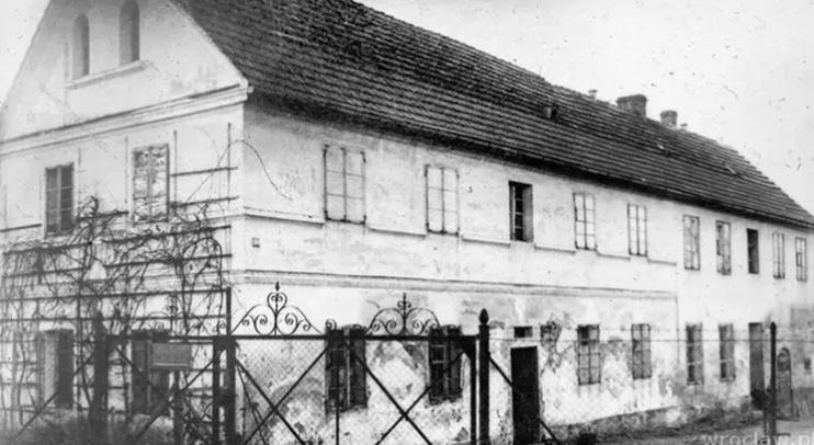 食人魔汉尼拔恐怖电影,高能慎入