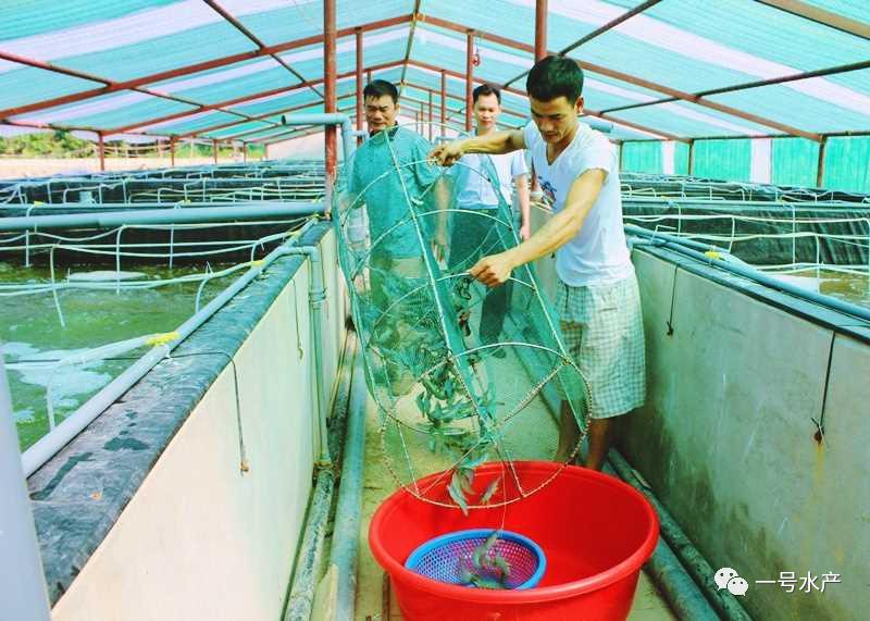 纳米银高效杀菌,水产养殖纳米银杀菌哪个厂家的好