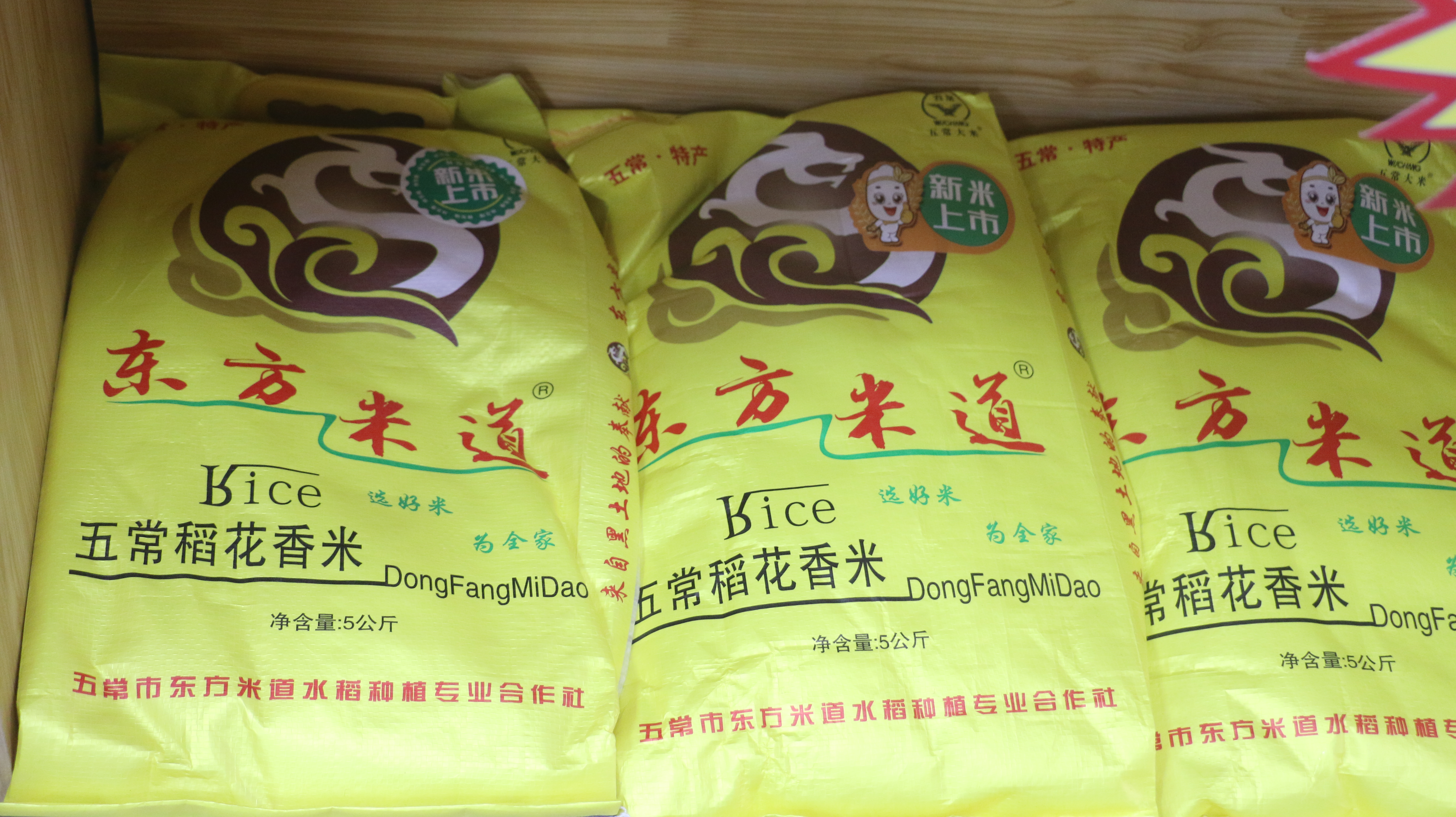 涓嶅繕鍒濆績鍧氬畧鍖犲績涓撹,鍧氬畧鍝佺墝涓嶅繕鍒濆績涓撹