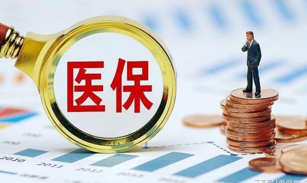 成都市社保缴费明细在哪里查询到,成都个人社保缴费怎么操作