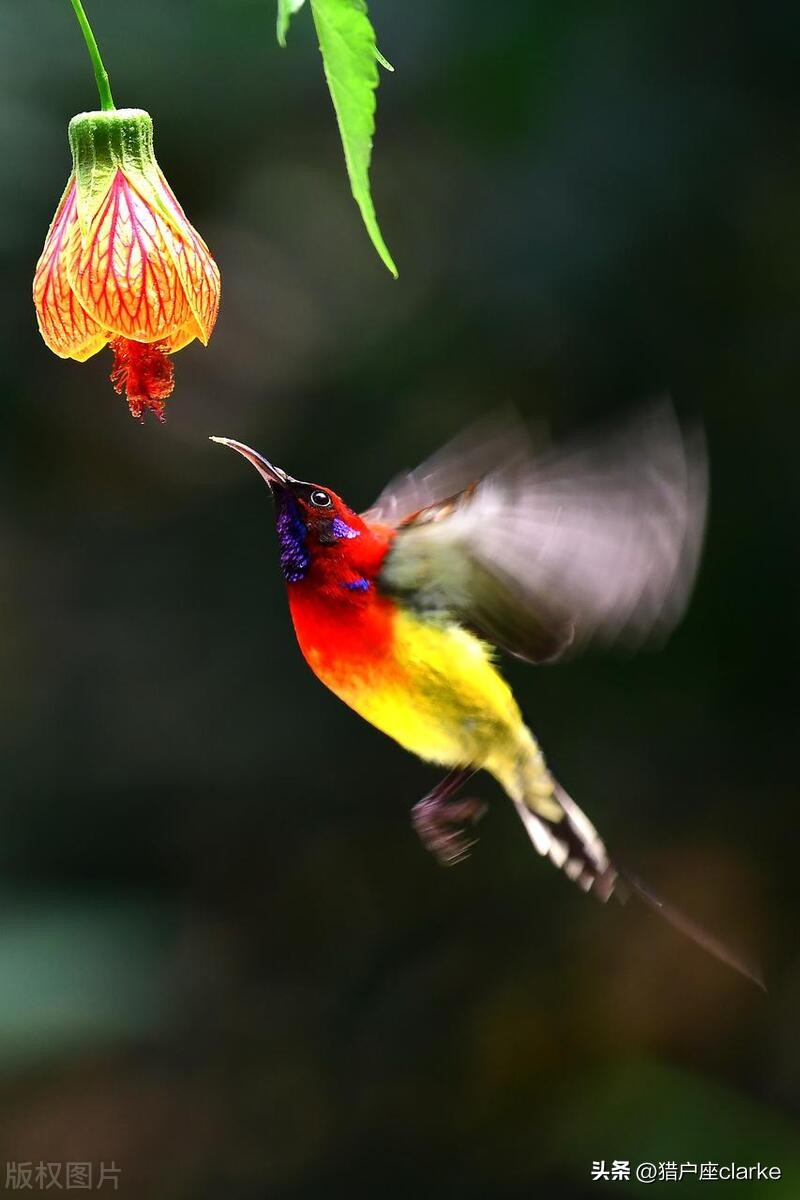 怎么拍出有力量感的动作,如何拍出具有冲击力照片