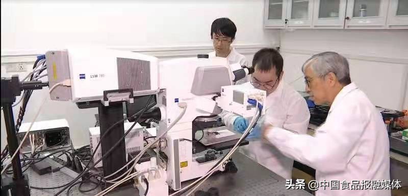 院士苏国辉视频,苏国辉院士视神经修复