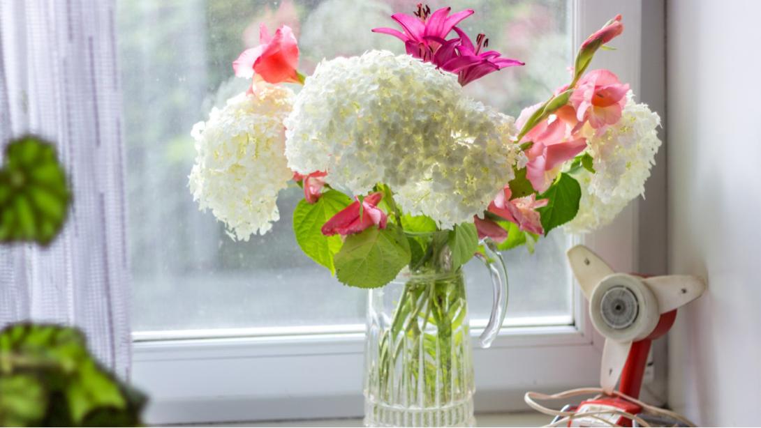 涓婃捣鍝釜鍖婚櫌鏈夊畨涔愭妗堜緥,涓婃捣鏈夊彲浠ュ畨涔愭鐨勫尰闄㈠悧