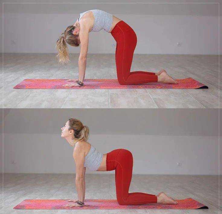 练瑜伽打坐有什么好处和坏处,练瑜伽对女性的脏腑有什么好处