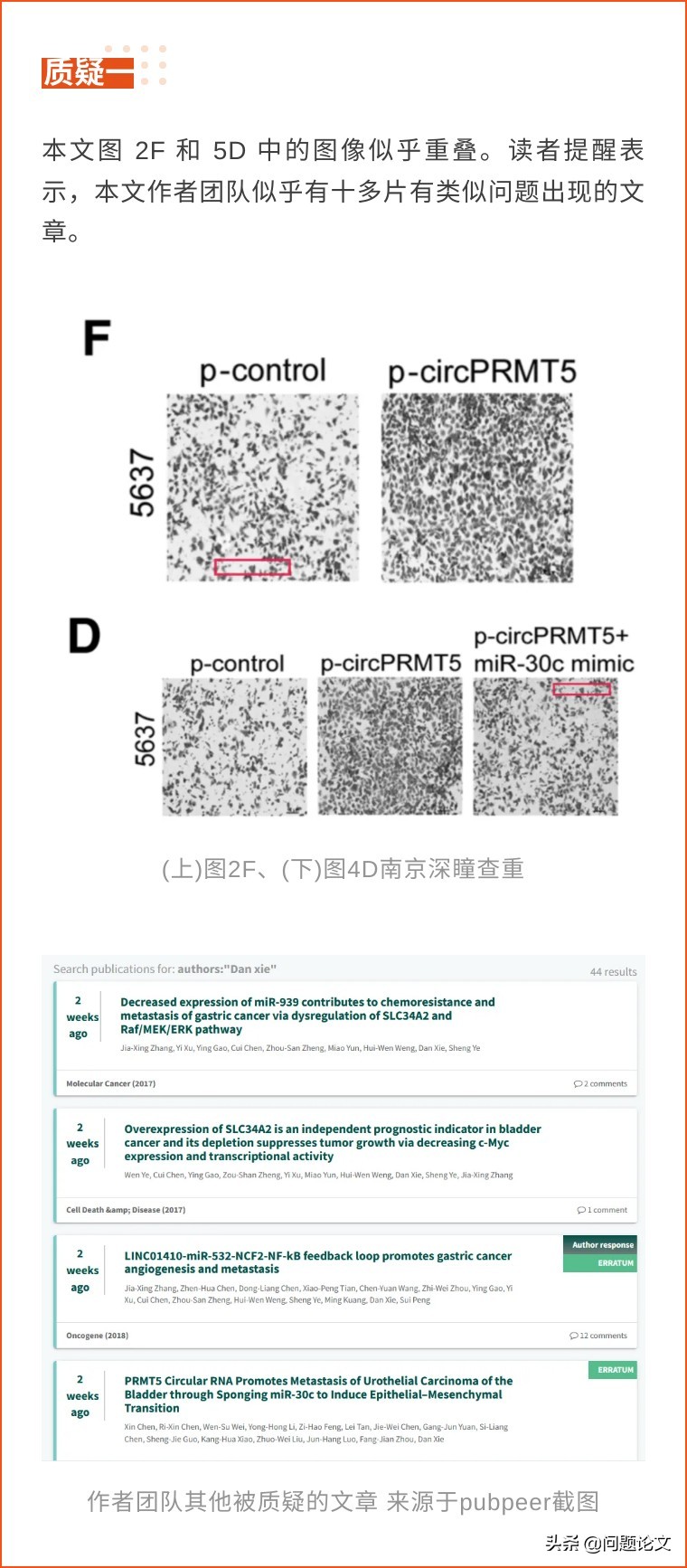 中山大学附属肿瘤医院与中大一院联合发表的12分论文又被质疑