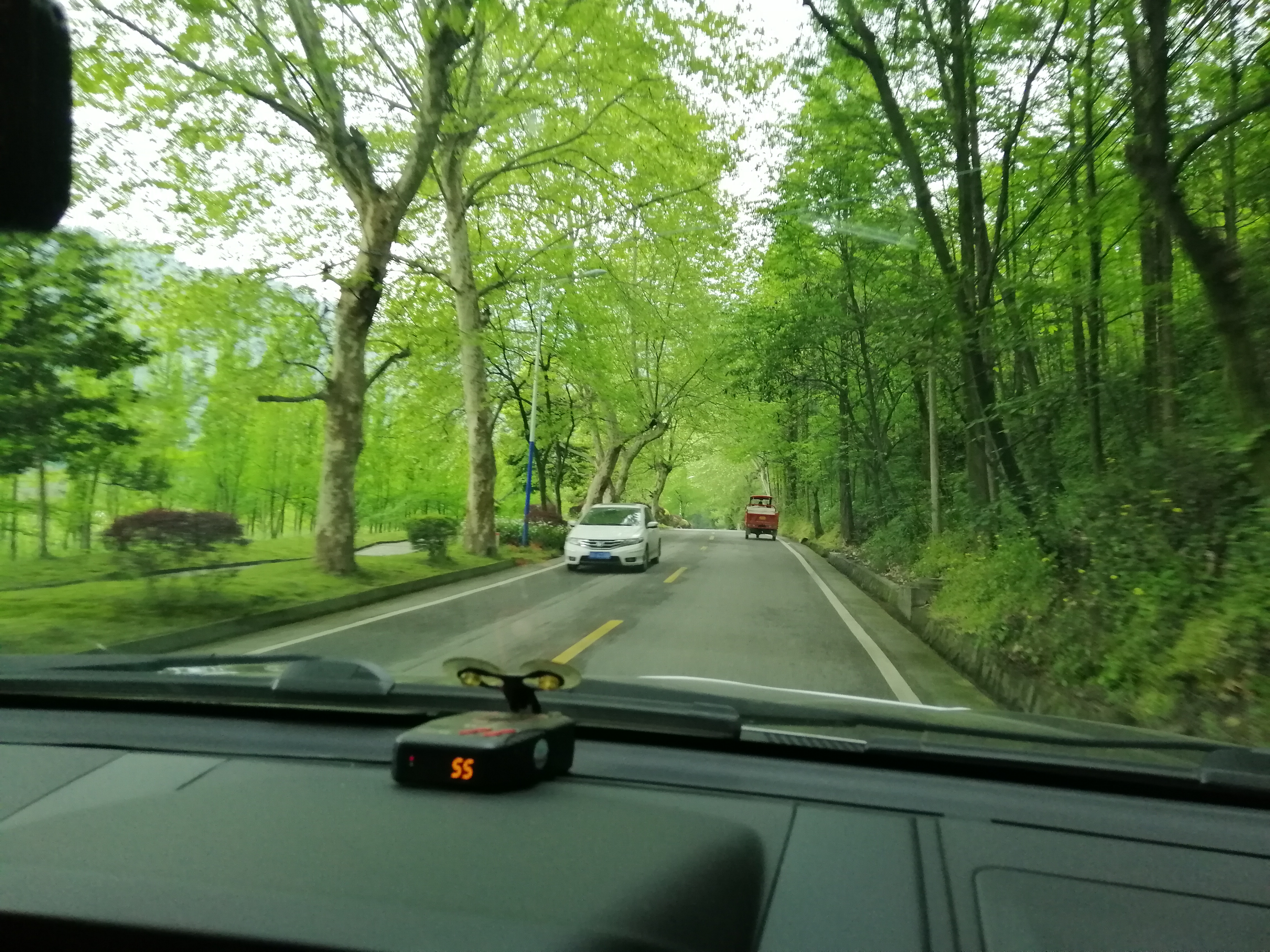 “种草”《大河恋》，解锁大虹鳟，也寻找着生命的意义