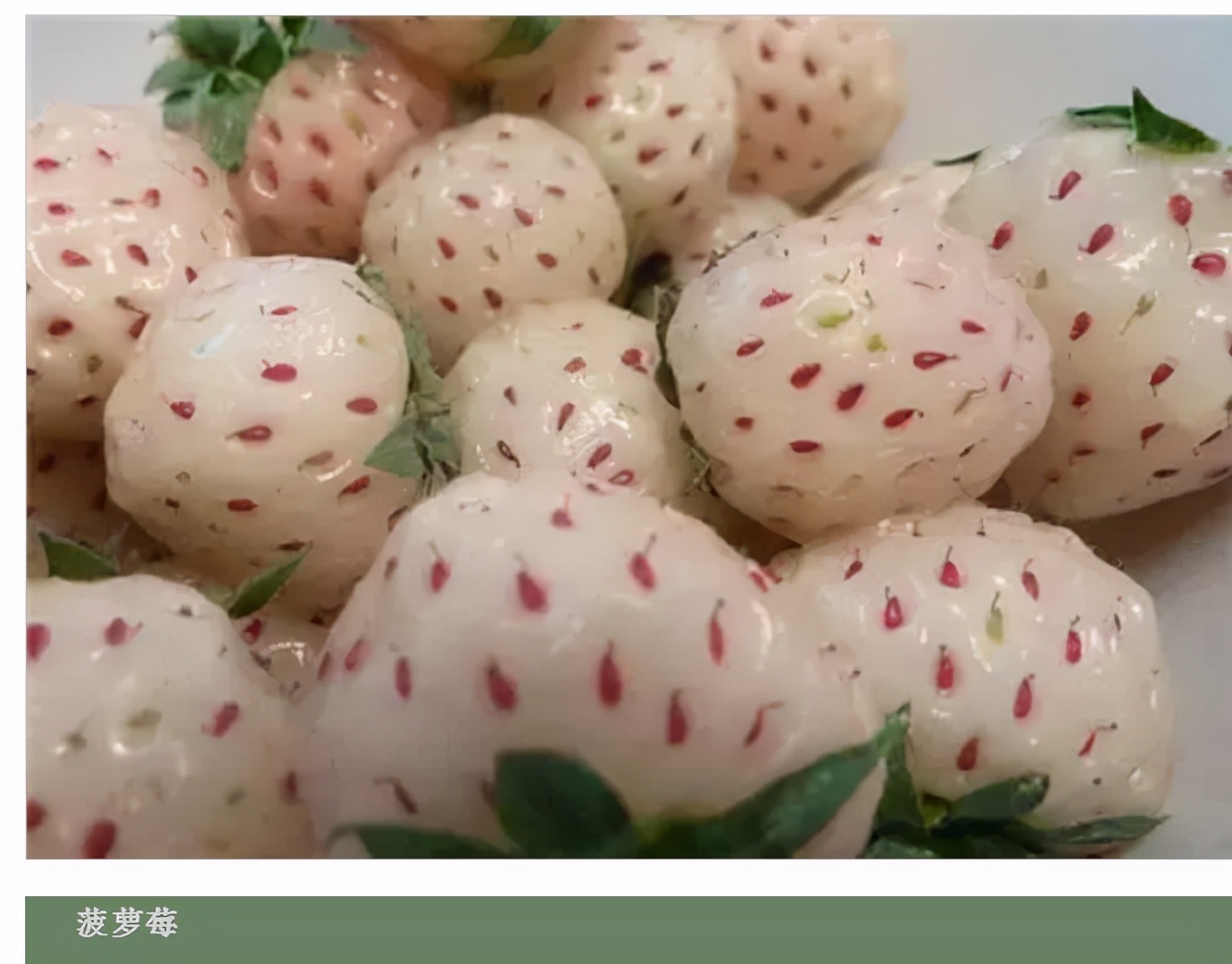 世界最好吃的水果十大排行,世界最营养又好吃的水果有哪些