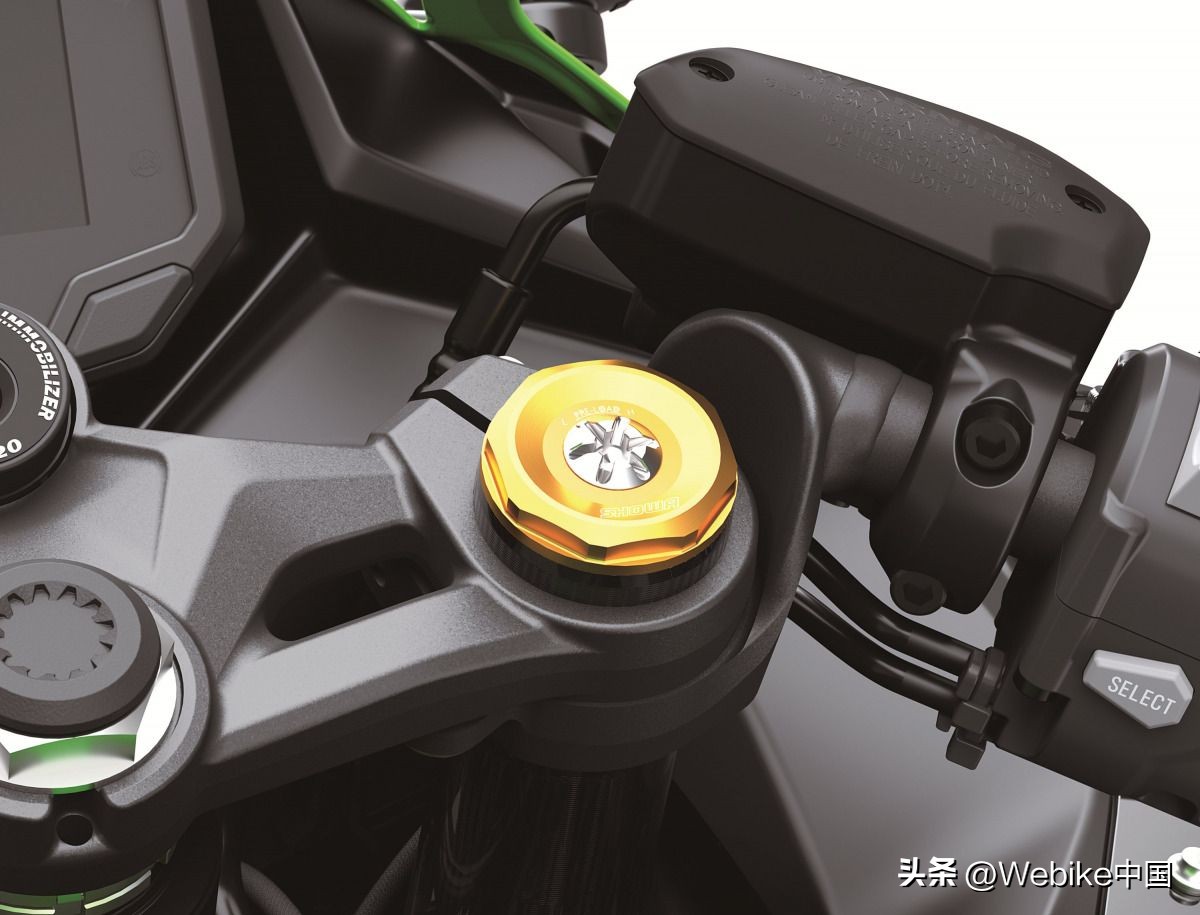 kawasakizx4r原厂,kawasakizx-4r是什么车