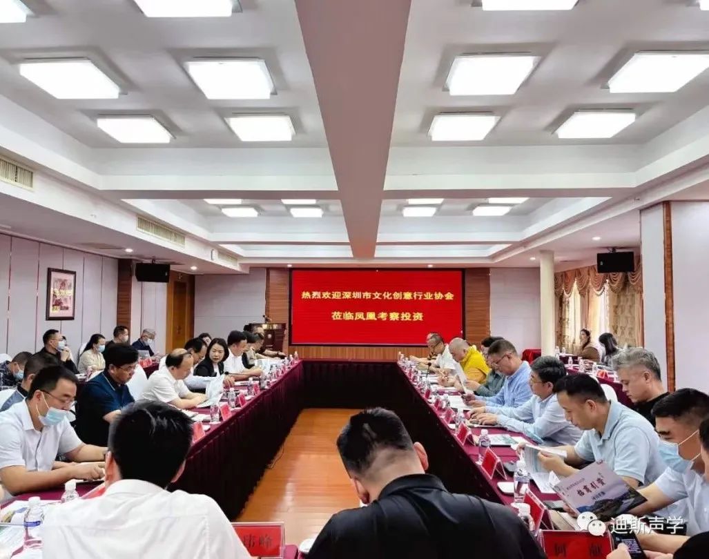 迪斯企业文旅总经理应邀出席考宣团