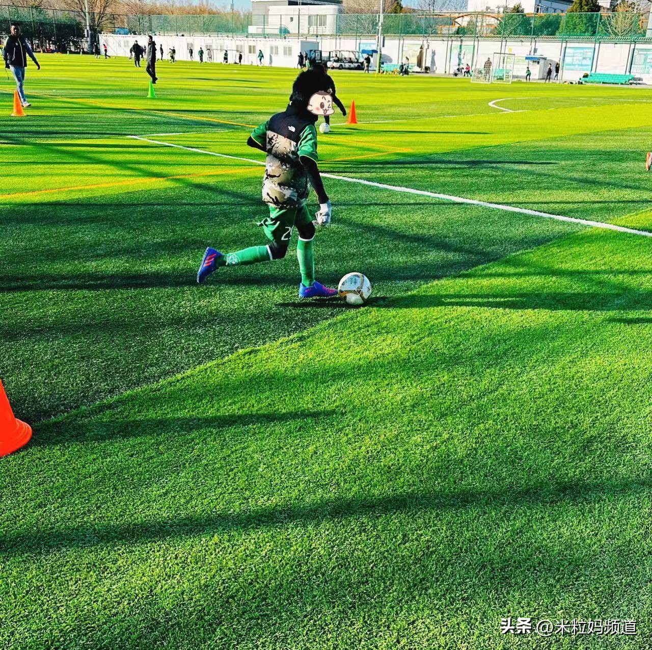 儿子跟同学打架爸爸反应,儿子和别人打架打输了爸爸回应