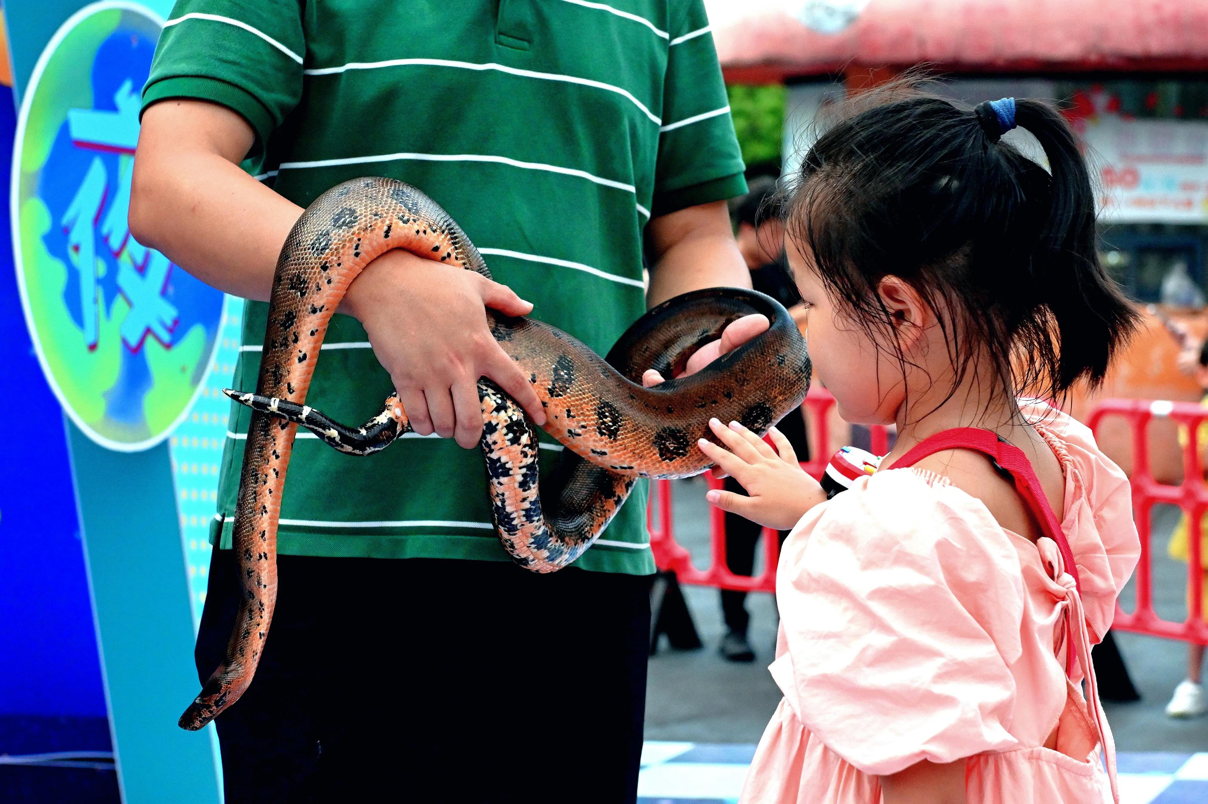 无锡动物园夜公园游玩攻略,无锡动物园攻略