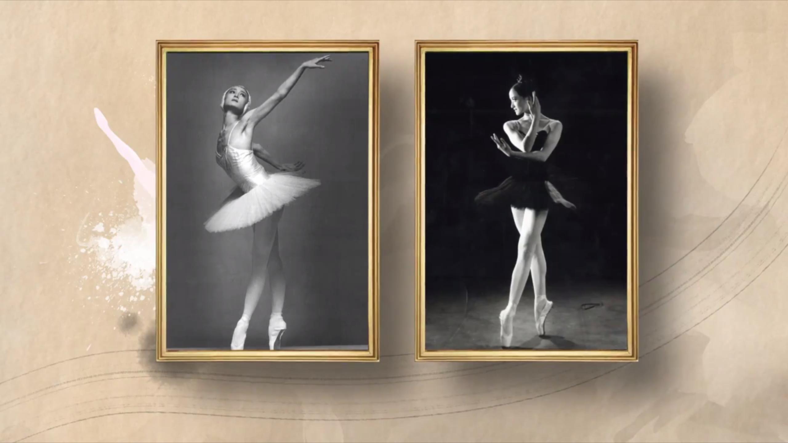 大师列传冯英视频,大师列传国际版冯英