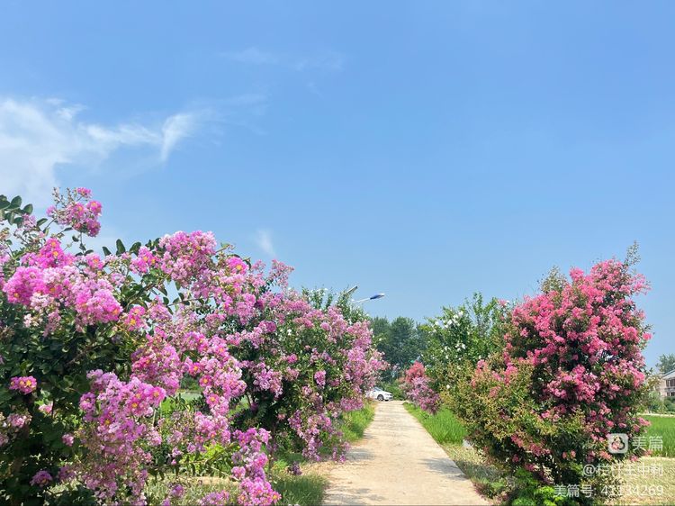 平安淮滨新变化丨淮滨县栏杆街道:喜迎二十大,夸夸我的家乡王湾新变化