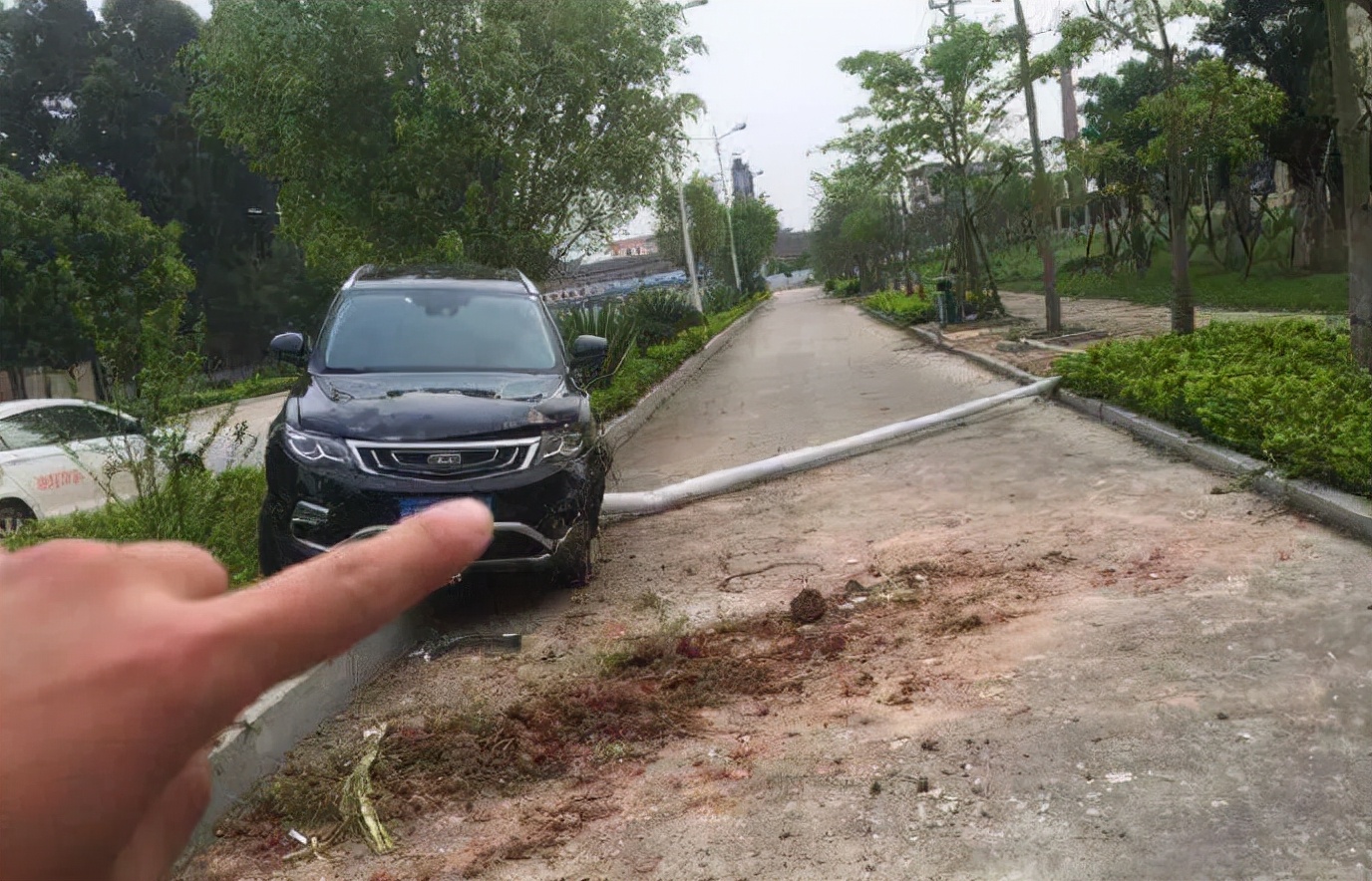 最新款吉利博瑞车主感受,各车主用车感受