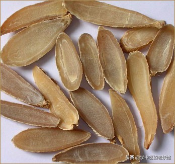 每天学一味中药郁金,有一味中药叫郁金