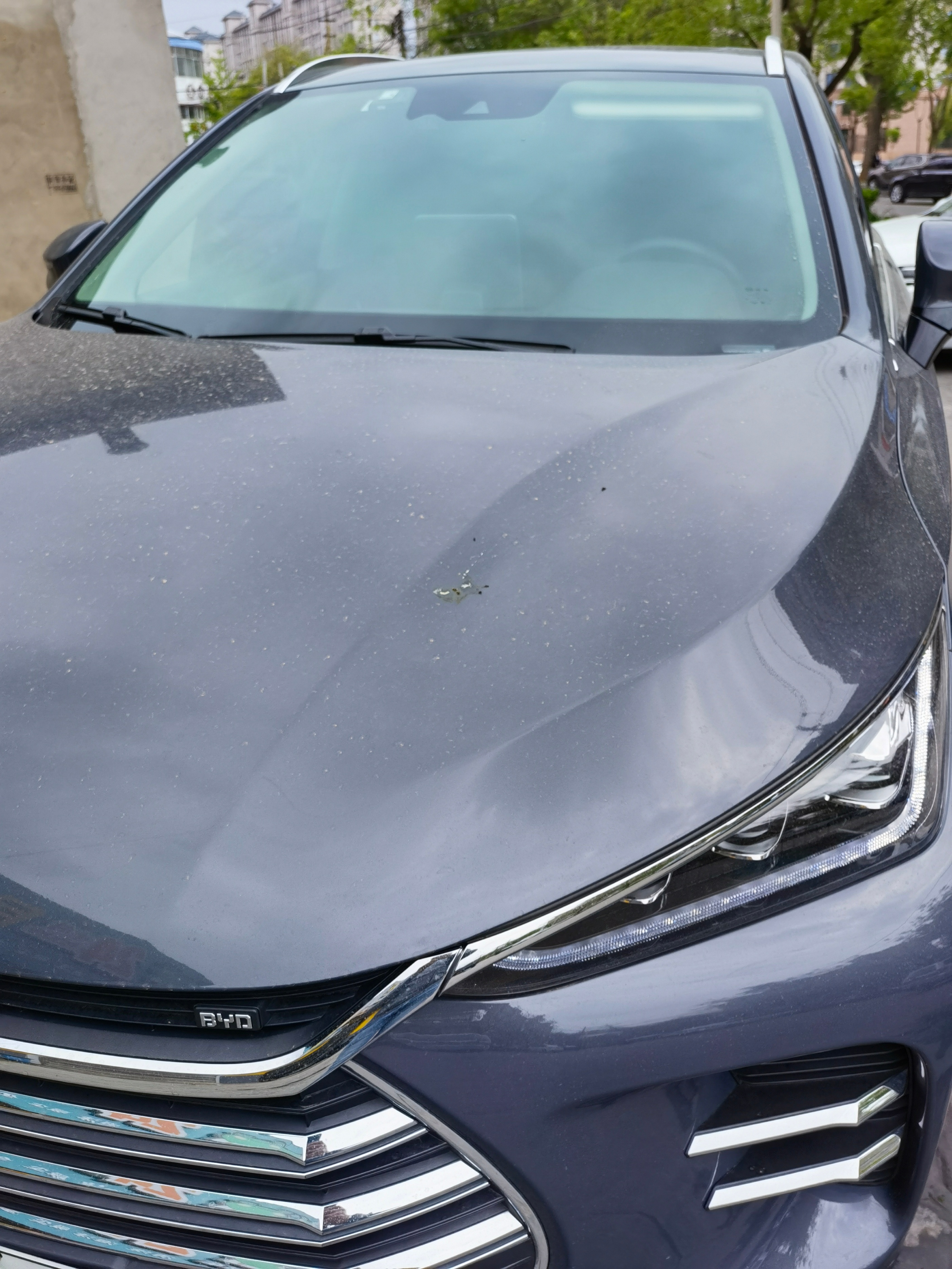 都不赖之全新唐使用经验分享全新唐雨后请及时清洗大唐