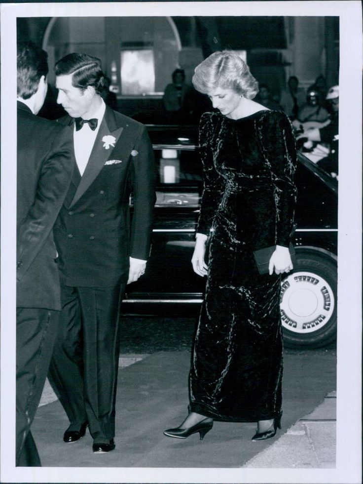 戴安娜王妃的蓝丝绒礼服,戴安娜王妃惊世容颜