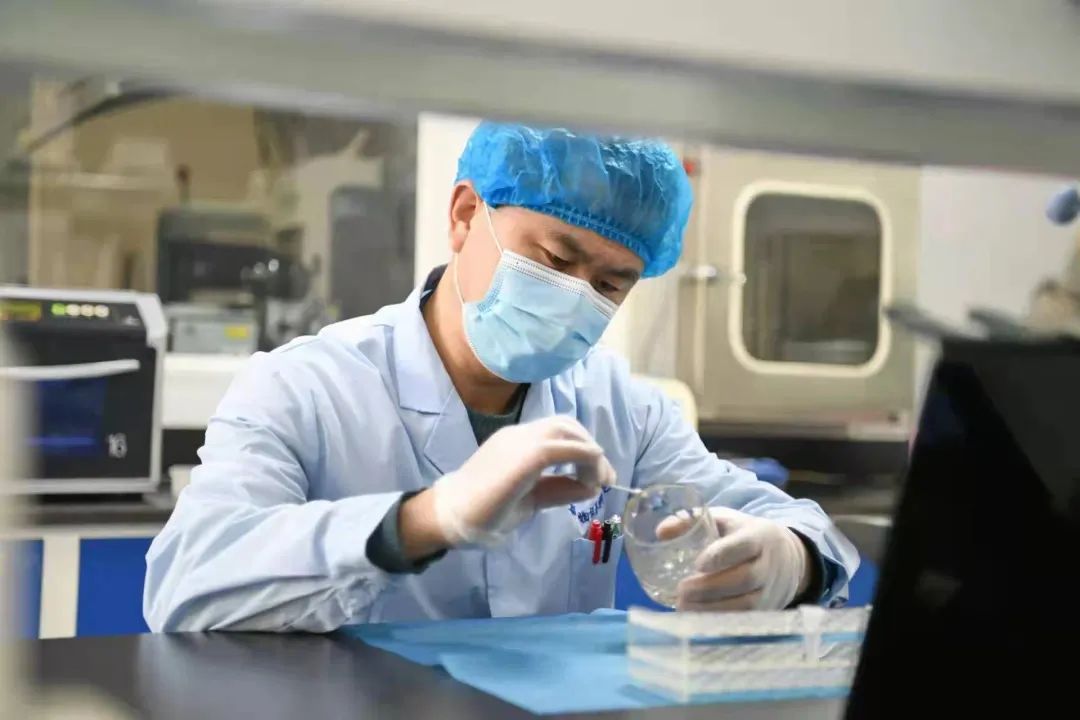 银川无创dna检测,广西dna检测