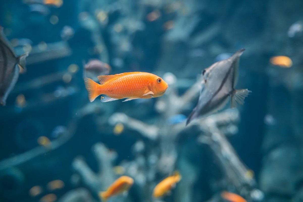 炎炎夏日，踏浪而来，赶赴一场和海南的约“惠”
