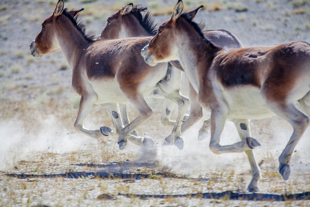 中国禁止游人参观的地方,中国禁止旅游的地方