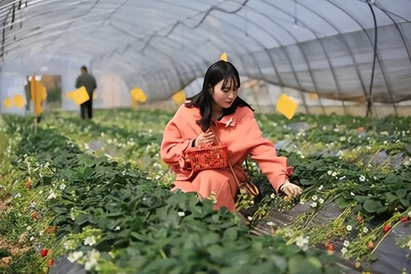 来农家乐的乐趣,来山水农家享受大自然的美景