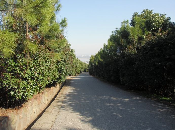 苏州市东山雨花胜境,2017年苏州东山雨花胜境
