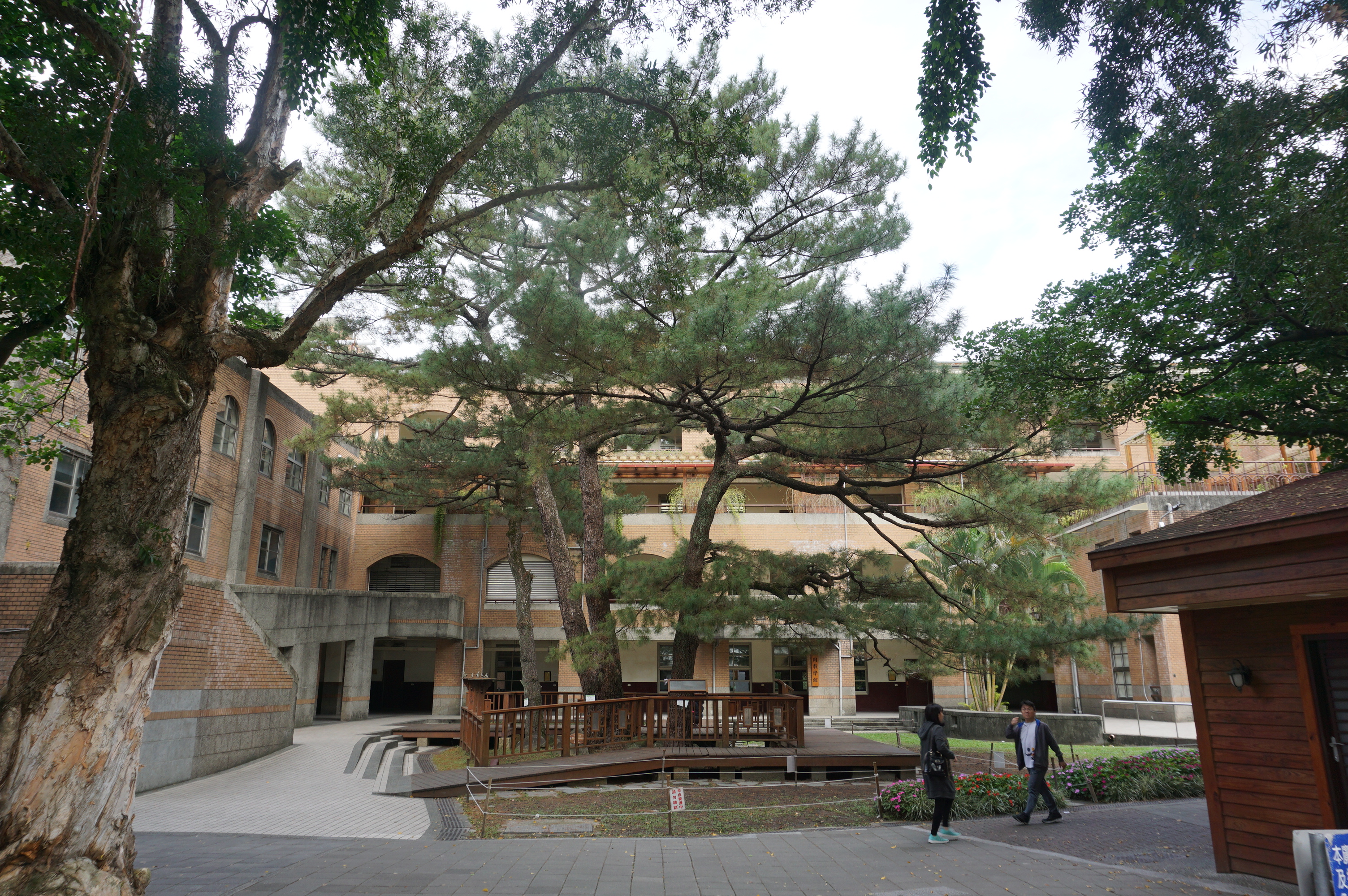 台湾自由行2023,台湾自由行什么时候开放