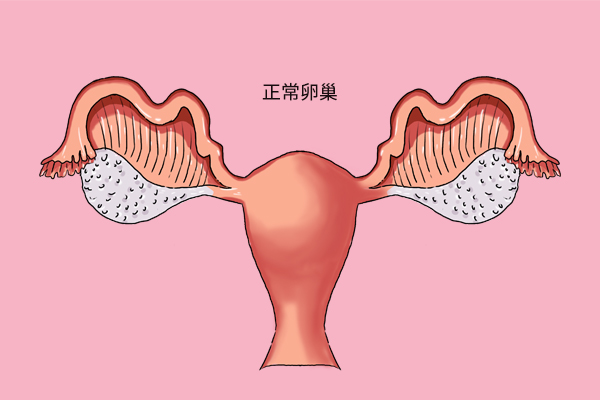 女人一般多少年龄会绝经,女性一般多少岁绝经才是正常的啊