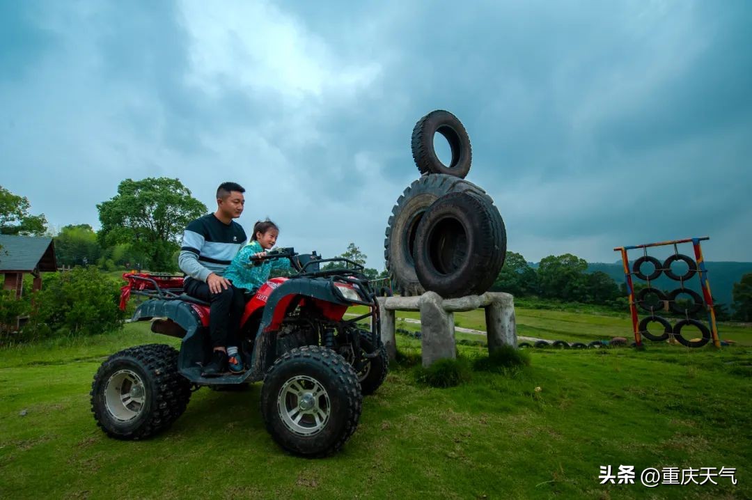 2023蓝莓采摘时间,重庆蓝莓采摘最佳时间