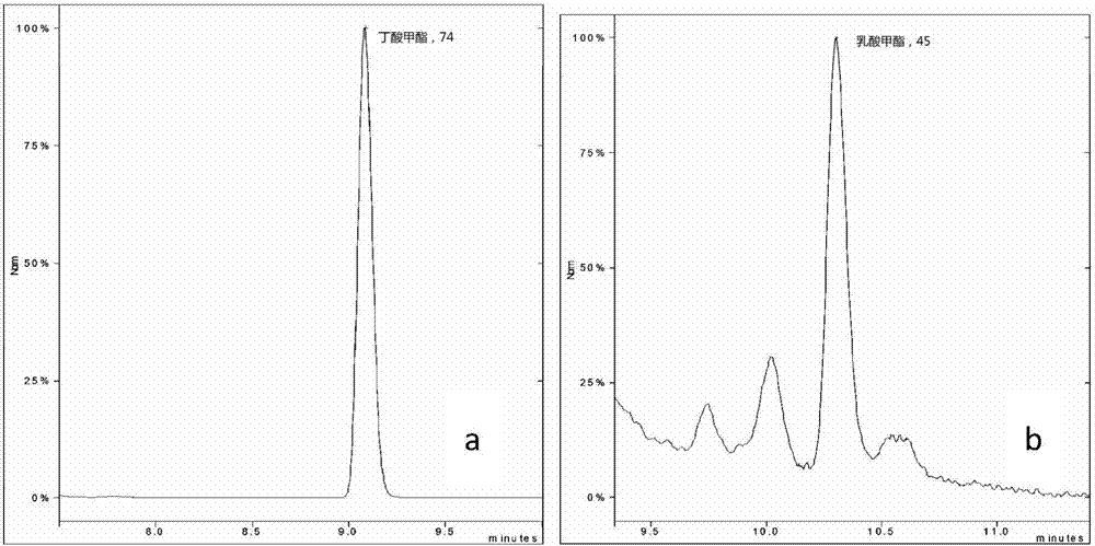 不同提取方式对坚果油品质的影响,不同提取物抗氧化活性图表怎么做
