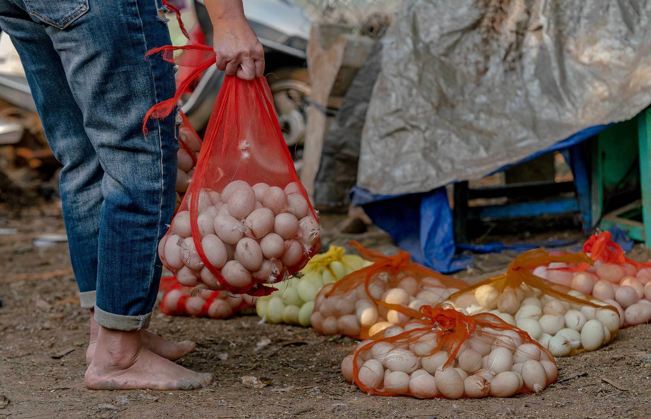 湛江海鸭蛋有什么好吃的,雷州半岛海鸭蛋
