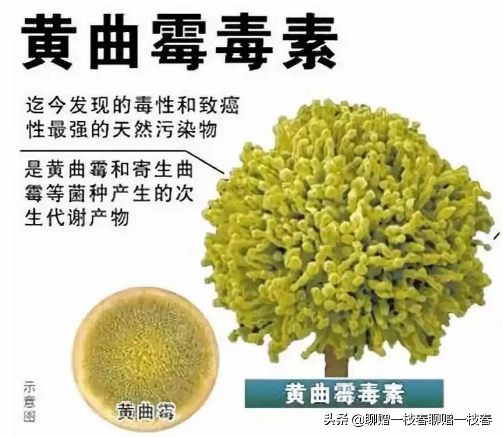 2015年阜阳母女车祸伤亡,安徽阜阳母女车祸