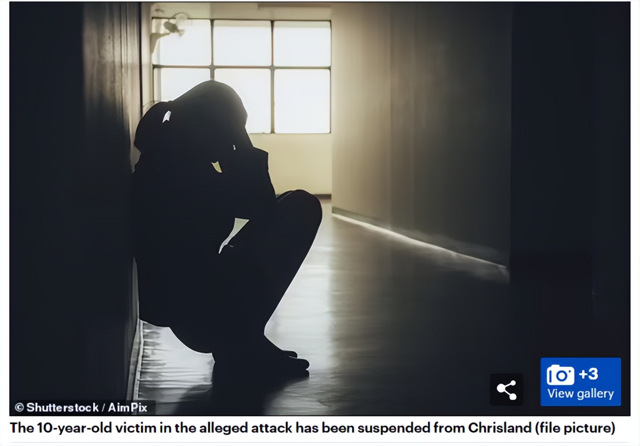 尼日利亚一母亲在网上看视频，发现10岁女儿“被同学轮奸”