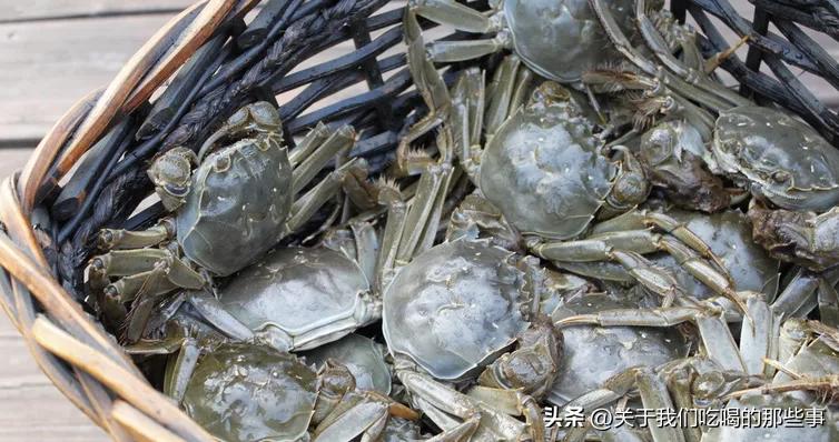 保存螃蟹怎么蒸熟冻好,活螃蟹直接放冰箱冷冻后还能吃吗