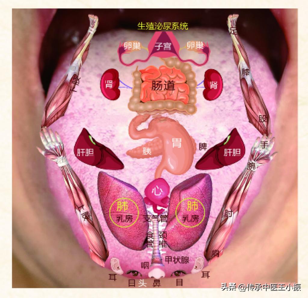 知柏地黄丸吃了真的有用吗,知柏地黄丸可以吃多久才有效