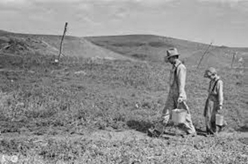 动物报复人类事例的真实故事,动物复仇的真实事件